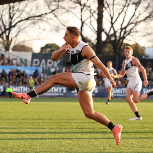 Boyd Woodcock playing for the Southport Sharks in the 2025 VFL Grand Final