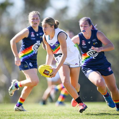 Southport Sharks QAFLW Round 16 Match Report - Coorparoo