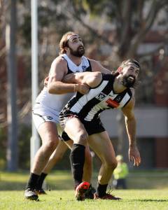 Southport Sharks VFL Round 19 Match Report - Collingwood