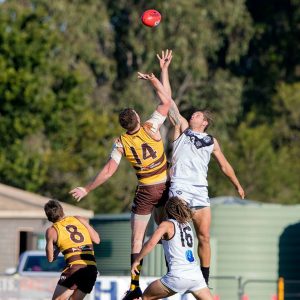 Southport Sharks NEAFL results Round 15