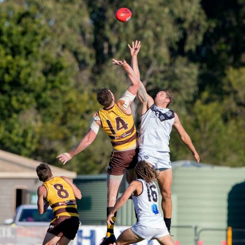 Southport Sharks NEAFL results Round 15