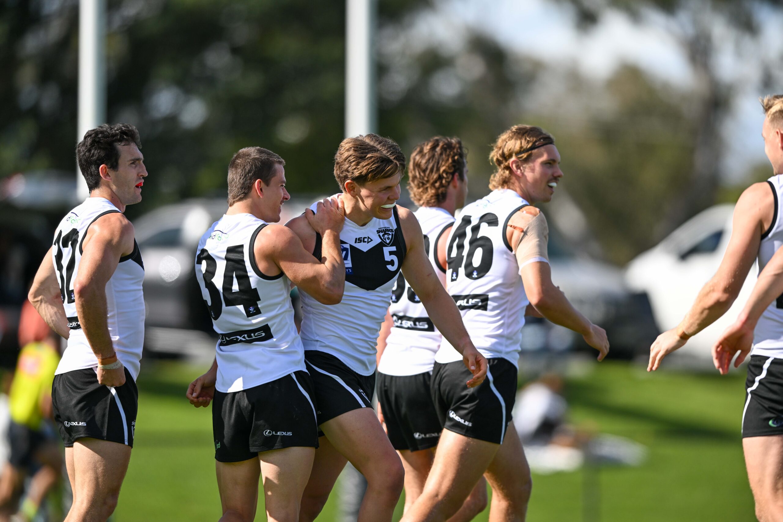 Sharks stun Seagulls to snap losing streak