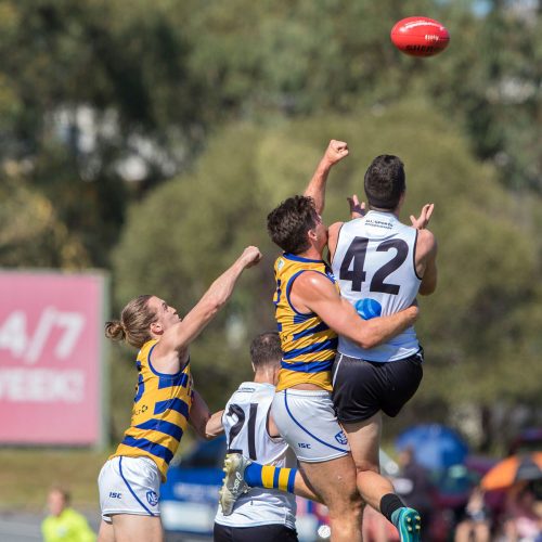 Southport Sharks NEAFL results Round 16
